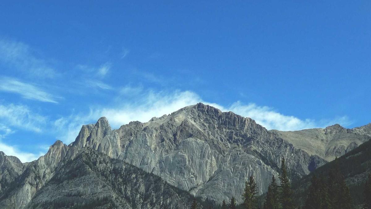 Eco Beschwerdestelle Detailansicht: Eco Beschwerdestelle