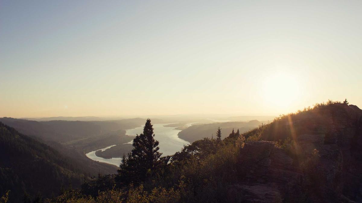 Detailansicht: Ehegattensplitting Abschaffung