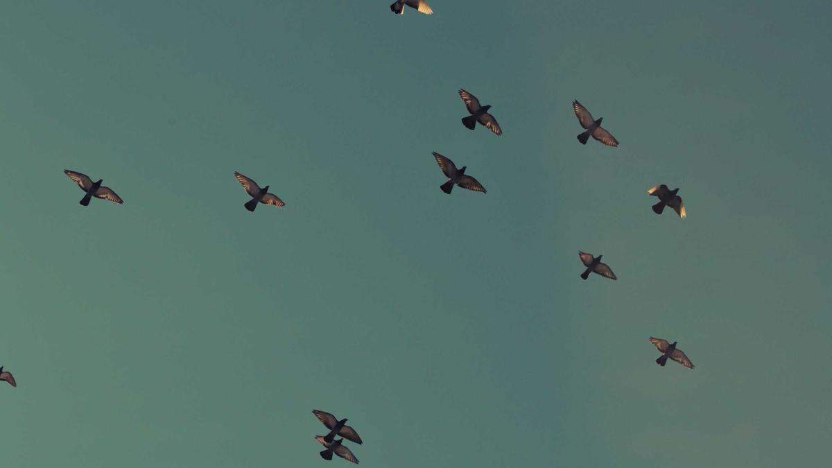 Symbolbild zum Thema Einbruch Seesen