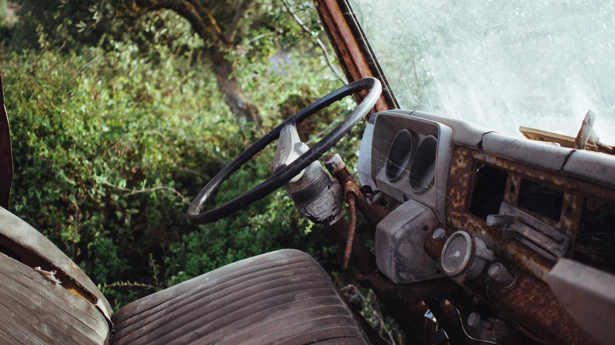 Eisbären Transfers Detailansicht: Eisbären Transfers