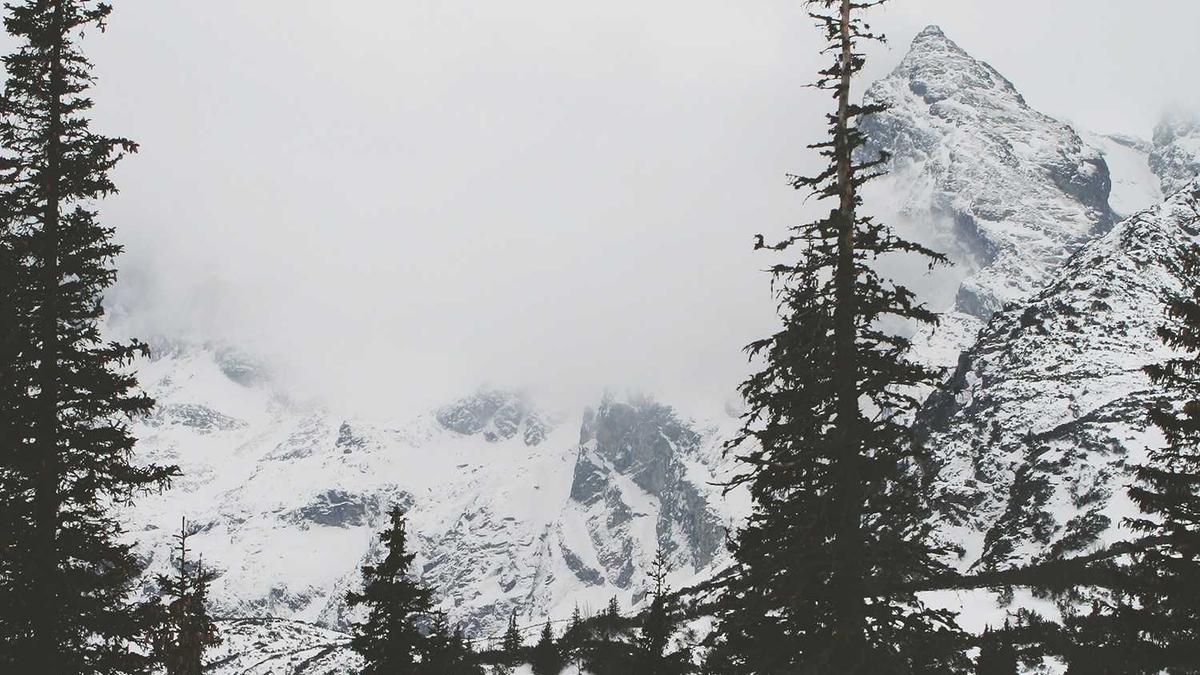 Illustration zu Energieaktien Risiko