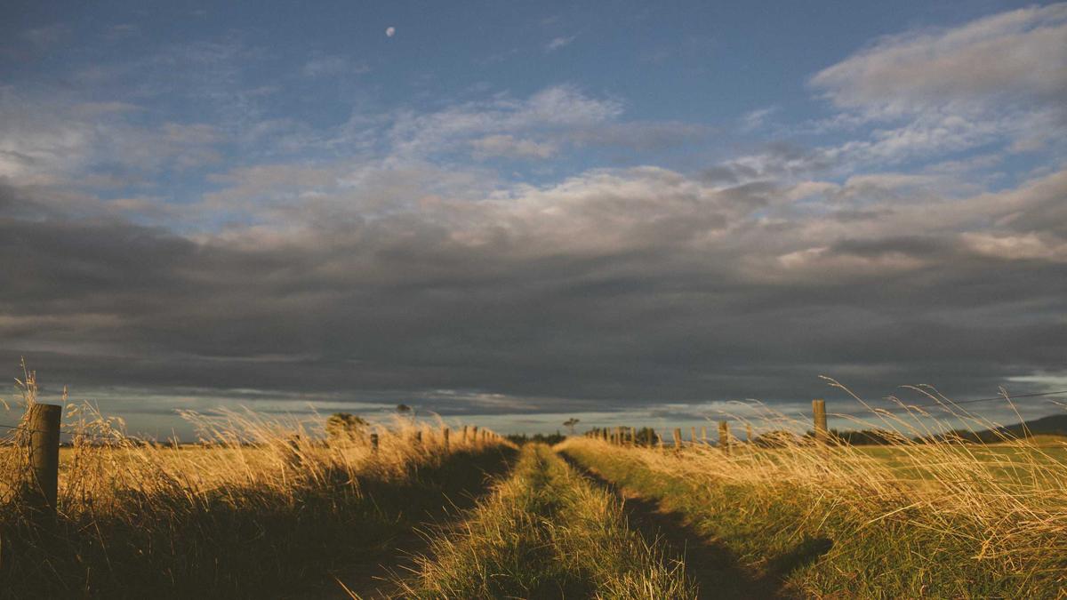 Detailansicht: Entführungs Thriller Amazon