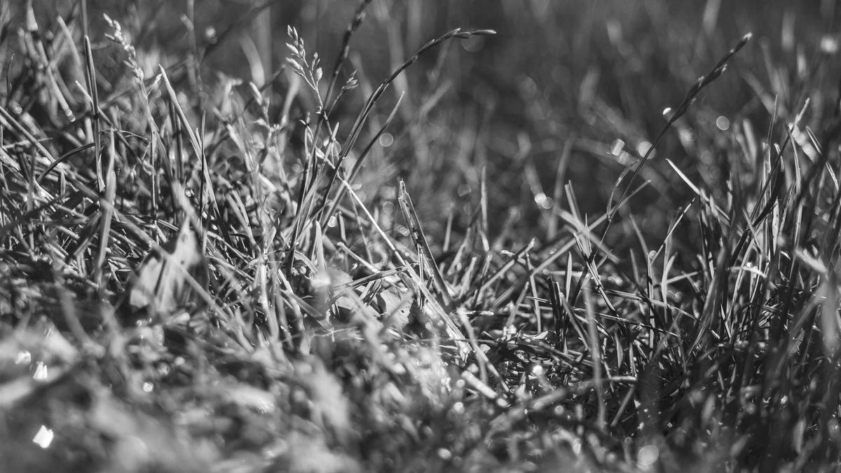 Detailansicht: Epstein Kreml Verbindung