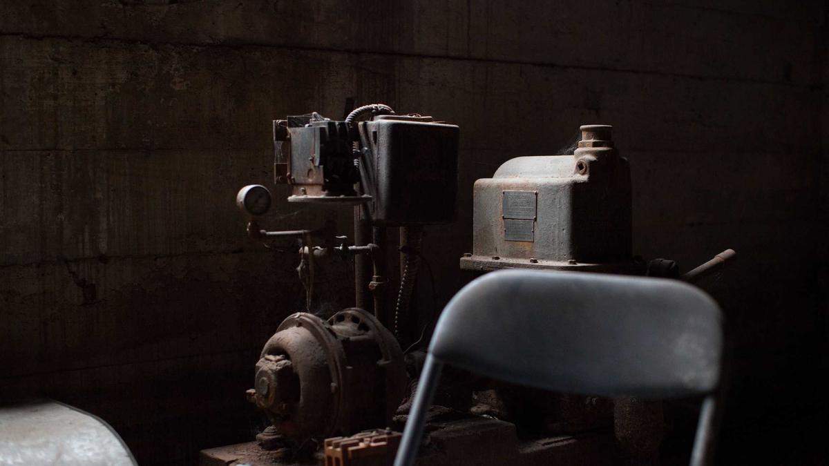 Illustration zu Fahnenträger Schweiz