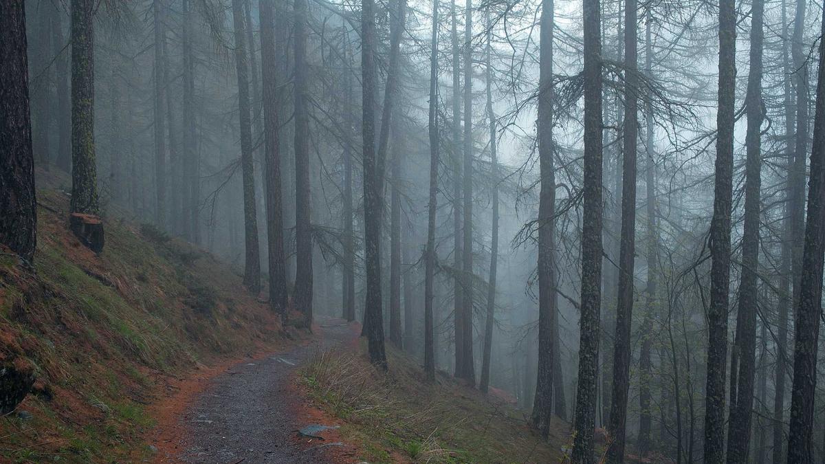 fahrerflucht Biberach fahrerflucht Biberach