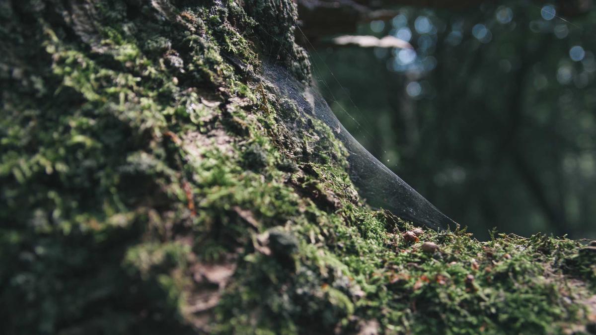 Fasnacht Unfall Symbolbild zum Thema Fasnacht Unfall