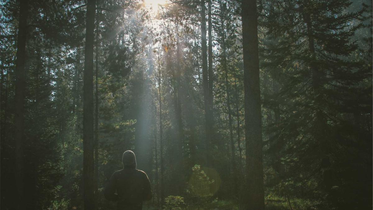 Film Heute TV Detailansicht: Film Heute TV