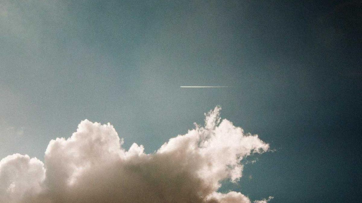 Illustration zu Foie Gras Nationalrat