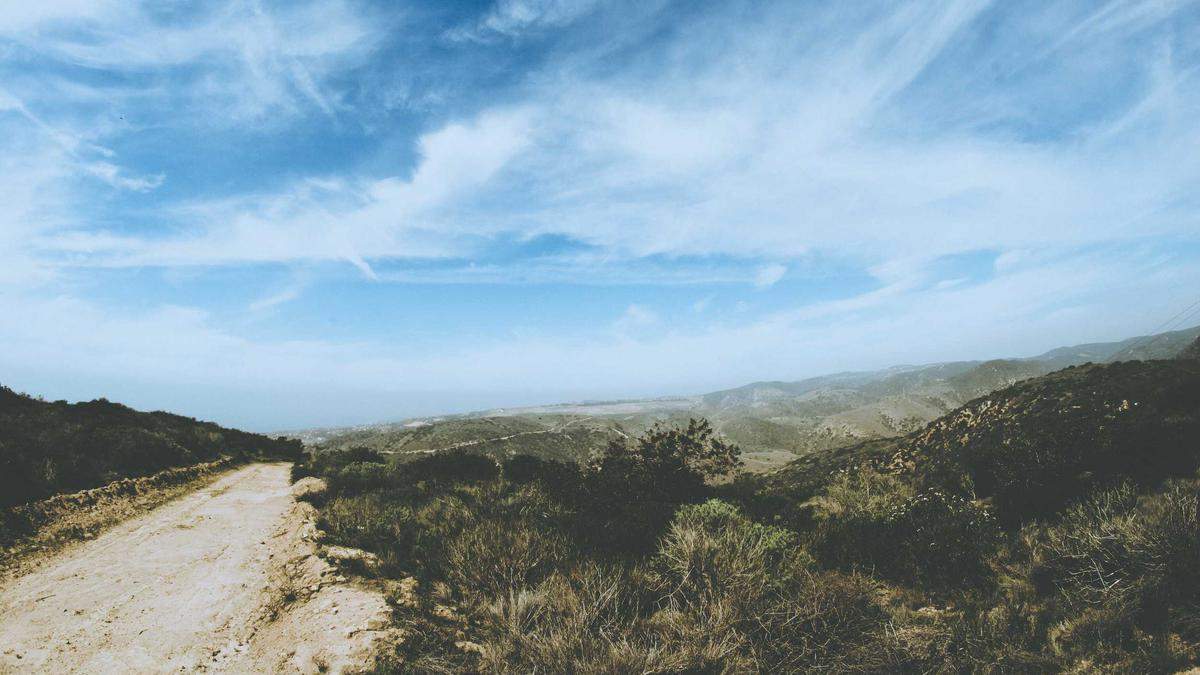 Symbolbild zum Thema Forstmaschine Umgekippt