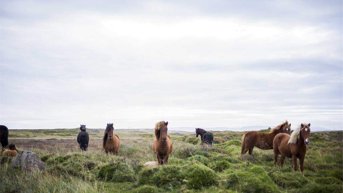 Symbolbild zum Thema Frauen Motorrad Iran