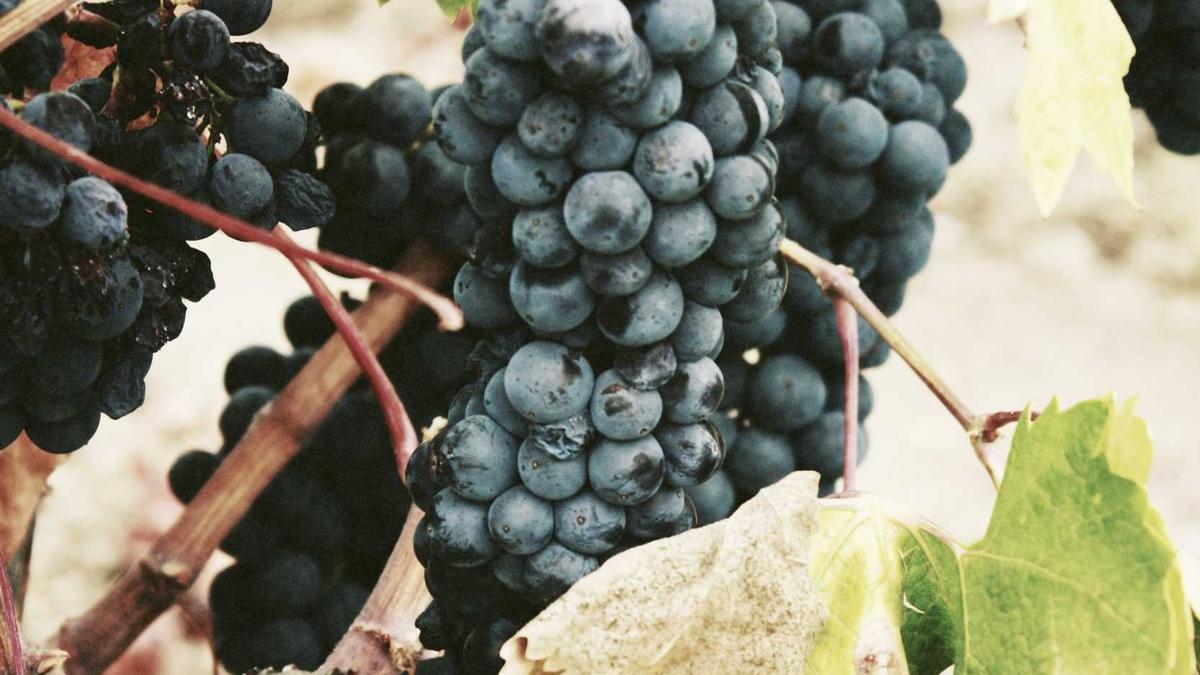 Detailansicht: Freigrenze Zoll überschritten