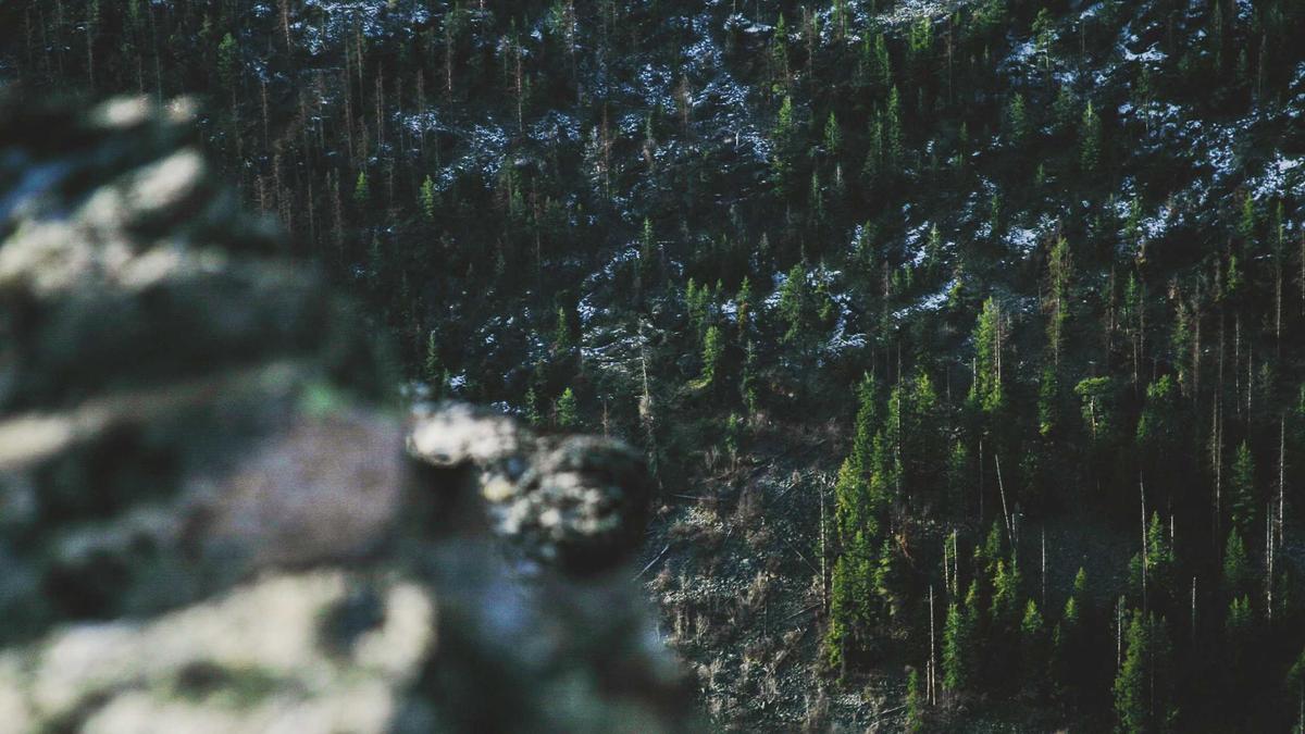 Symbolbild zum Thema Führerscheinfälschung Urteil