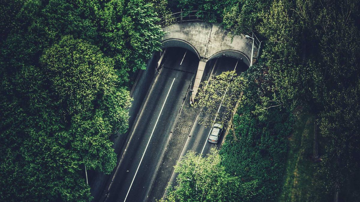 Gefährlicher Eingriff Bahnverkehr Illustration zu Gefährlicher Eingriff Bahnverkehr