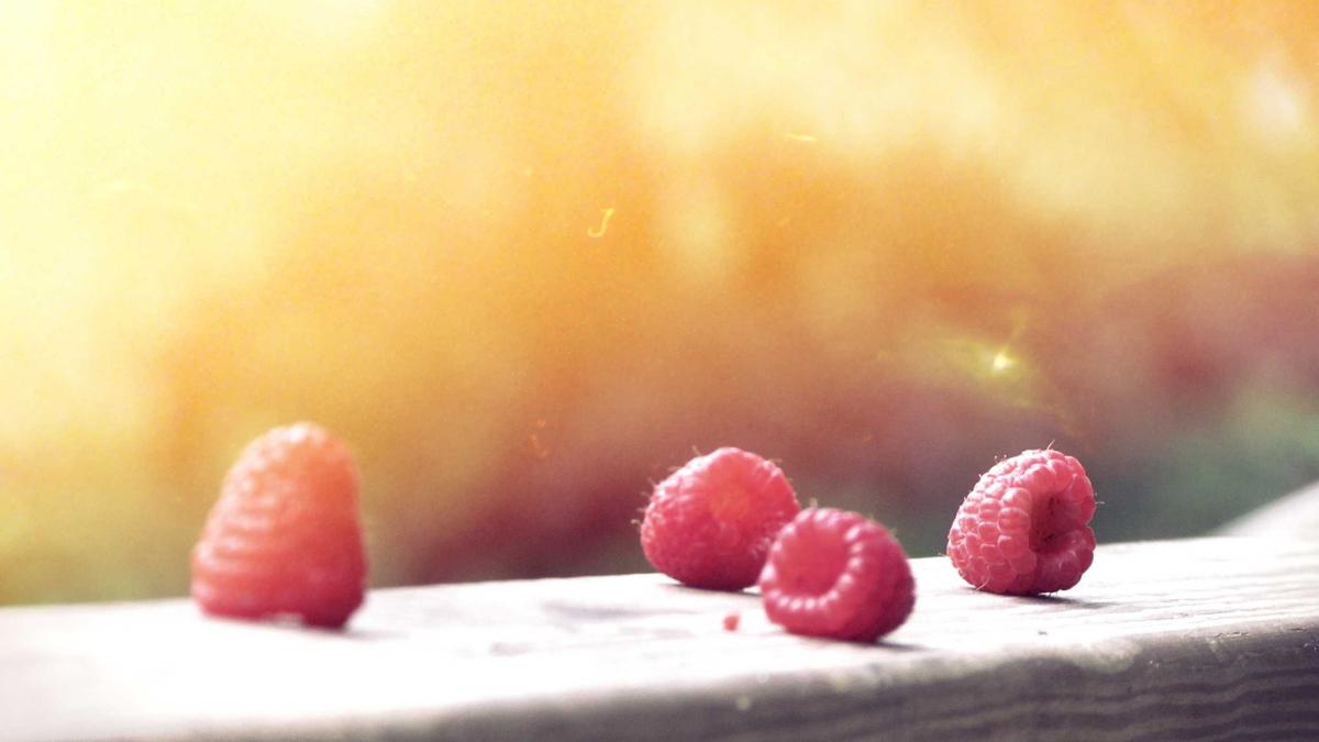 Detailansicht: Gregor Gysi