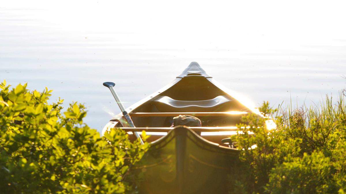 Grenzüberschreitende Kontrolle Symbolbild zum Thema Grenzüberschreitende Kontrolle