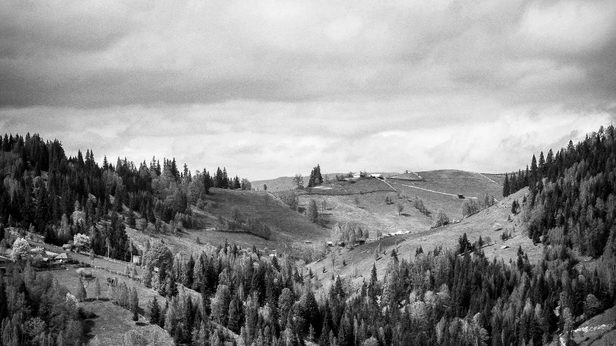 Hannover 96 Schule Detailansicht: Hannover 96 Schule