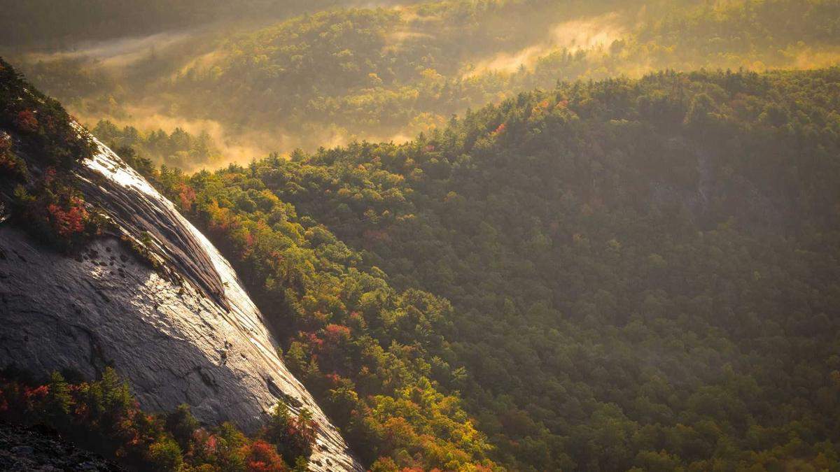 Hausangestellte Arbeitszeit Illustration zu Hausangestellte Arbeitszeit