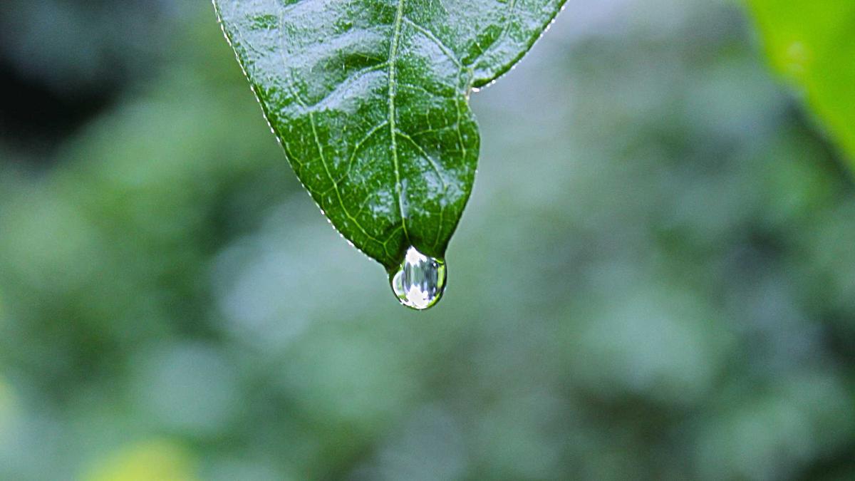 Detailansicht: Hauseinsturz Libanon