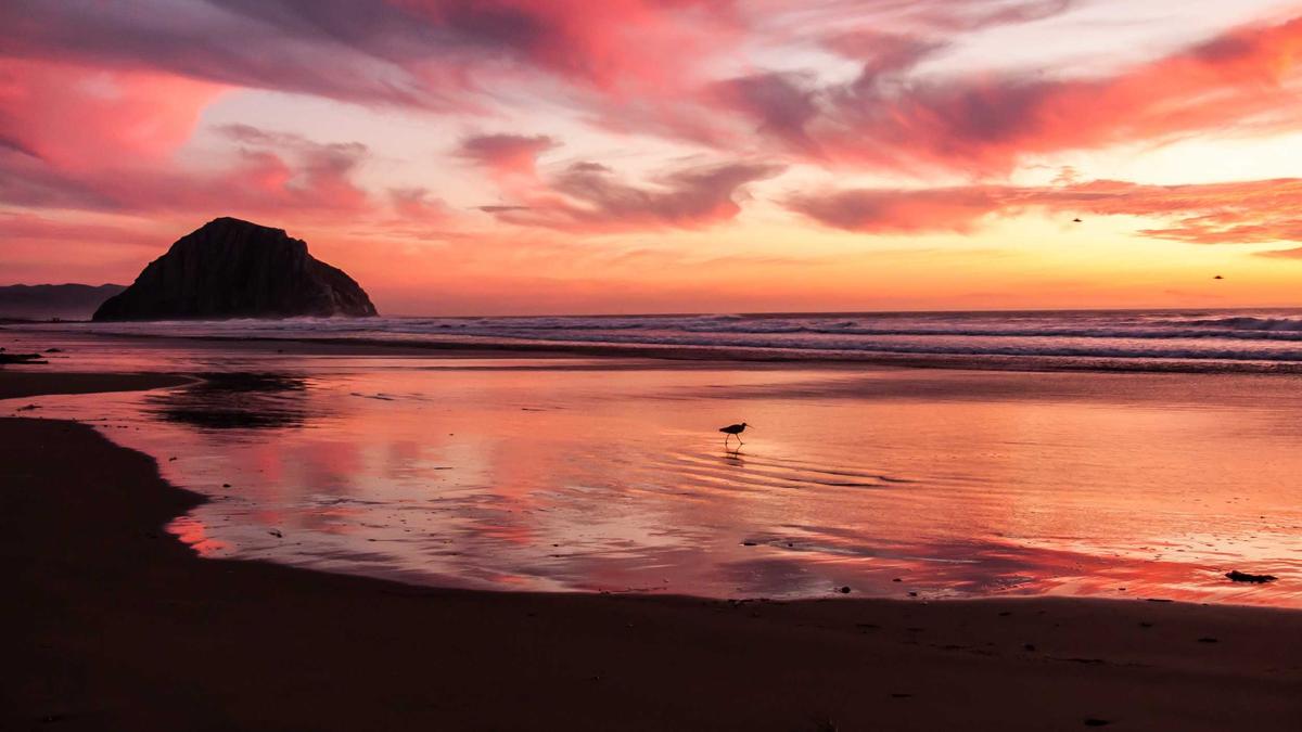 Illustration zu Himars Iran