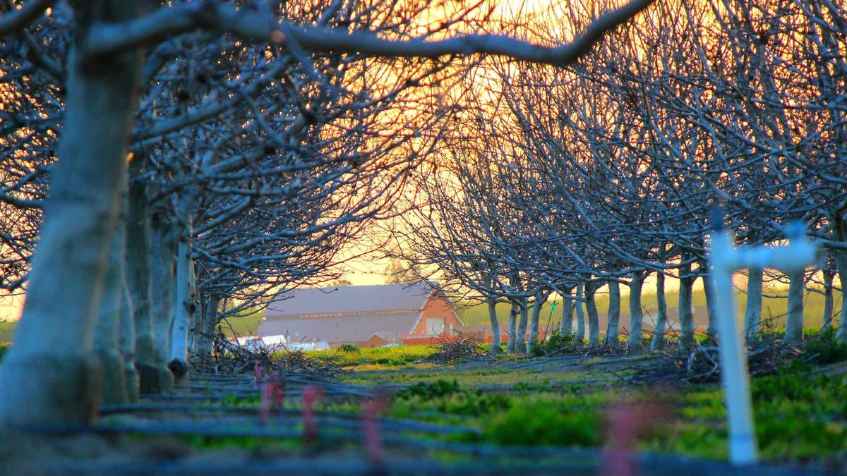 Illustration zu Hochhausbrand Berlin