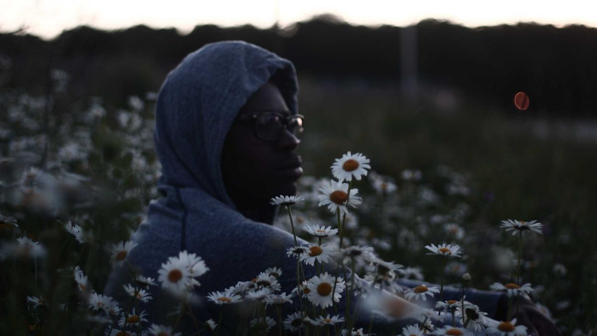 Detailansicht: HSV Einzelkritik