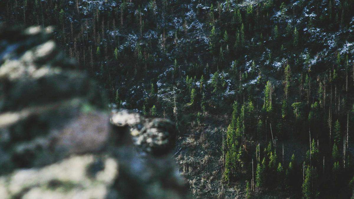 Detailansicht: Johanna Große Vermisst