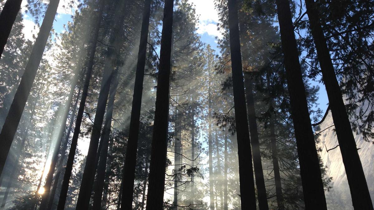 Detailansicht: Jugendschutz KI