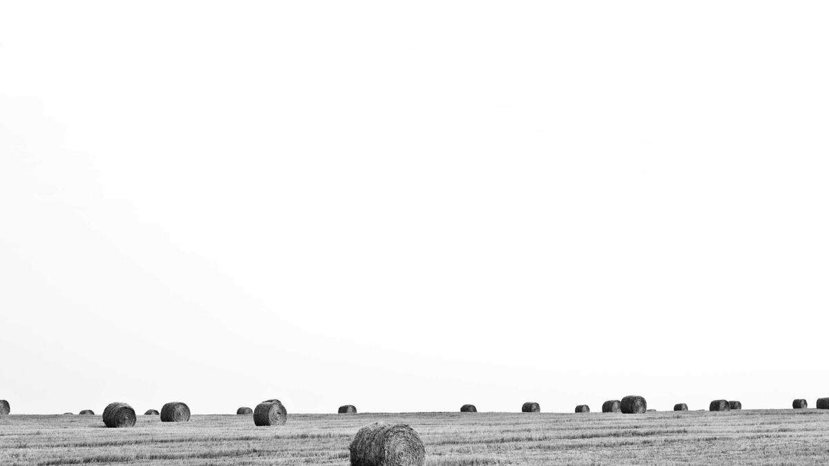 Detailansicht: Katarina Witt