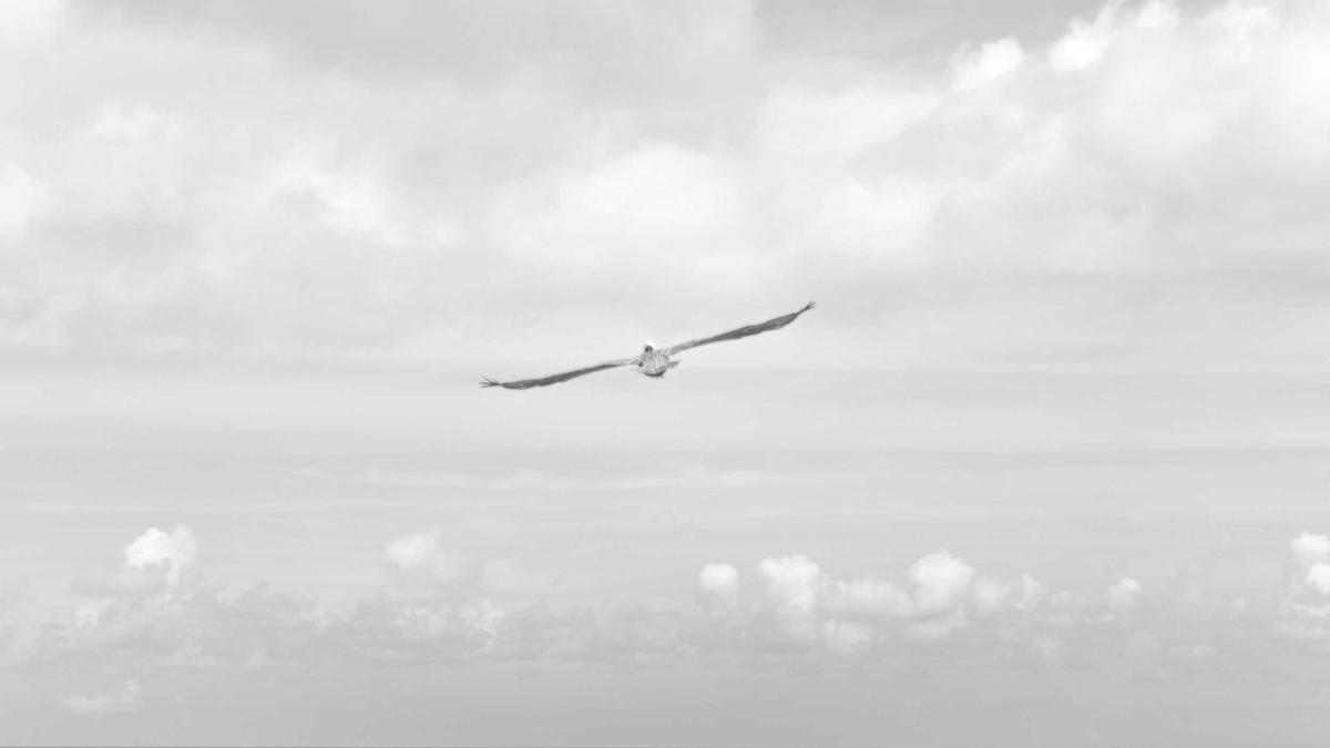 Detailansicht: Katharina Hennig Dotzler