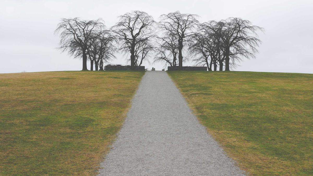 Illustration zu Kevin Wolter Arbeitslosengeld