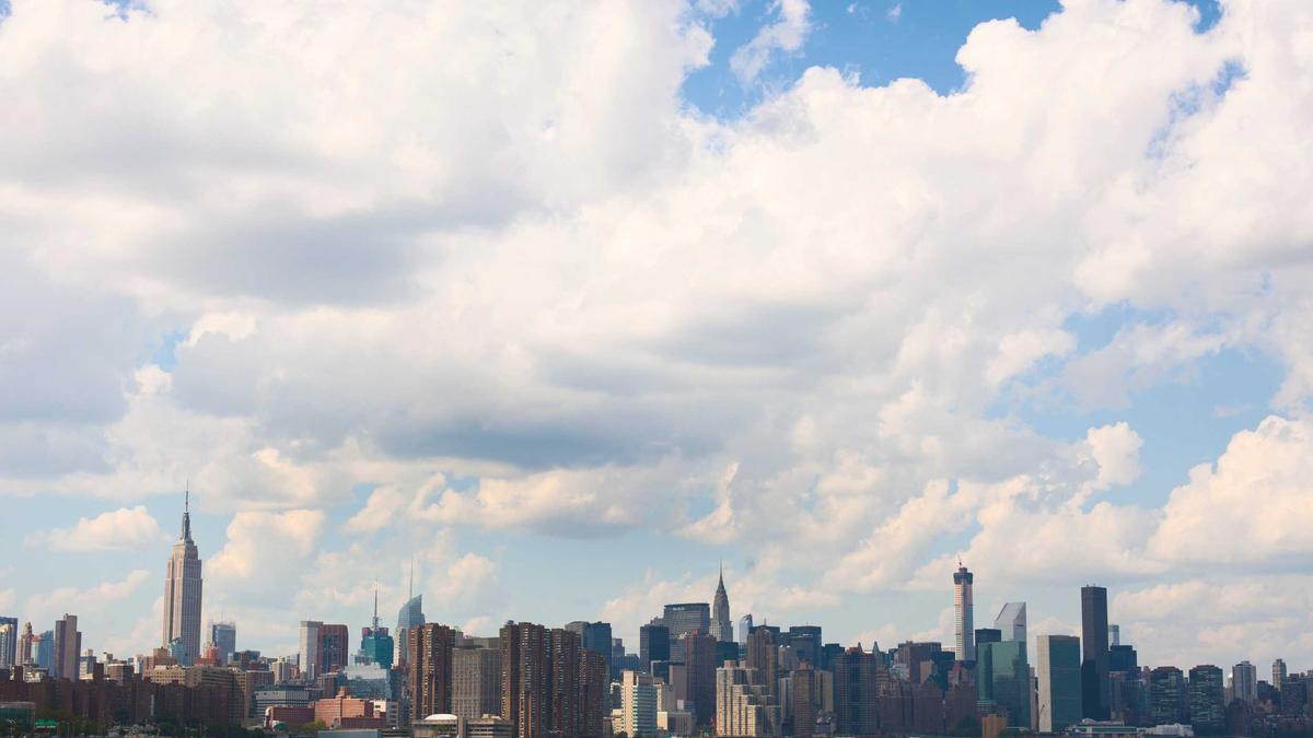 Klimaaktivisten Prozess Detailansicht: Klimaaktivisten Prozess