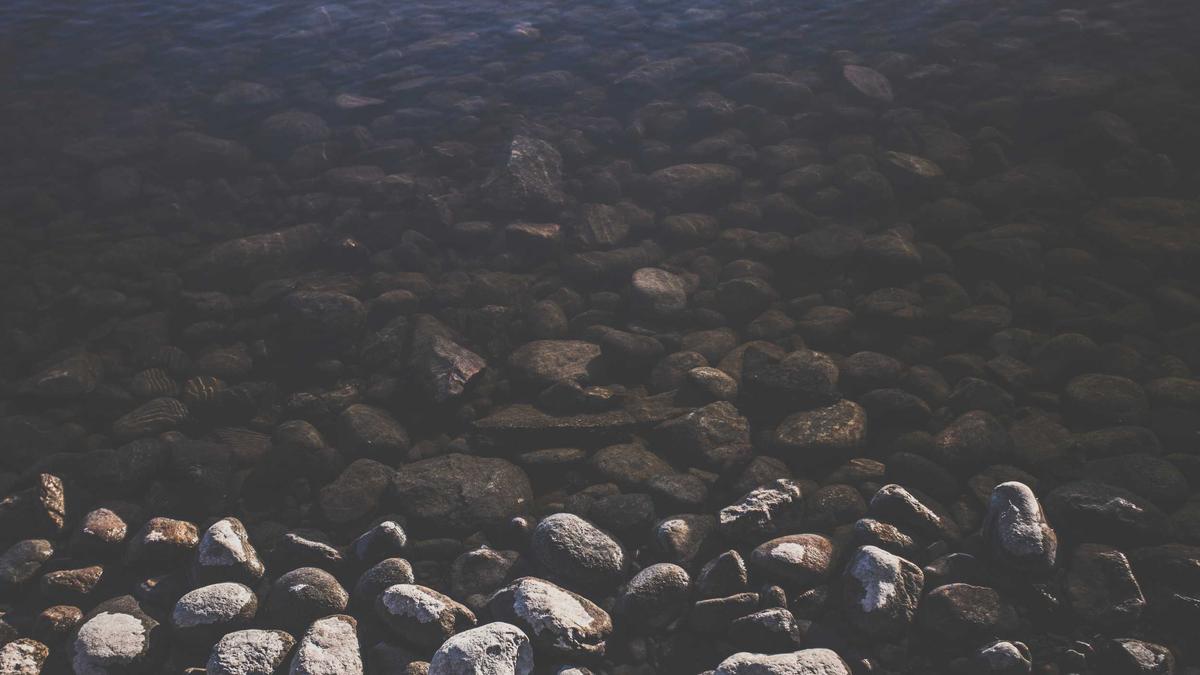 Kritik Tatort Heute Symbolbild zum Thema Kritik Tatort Heute