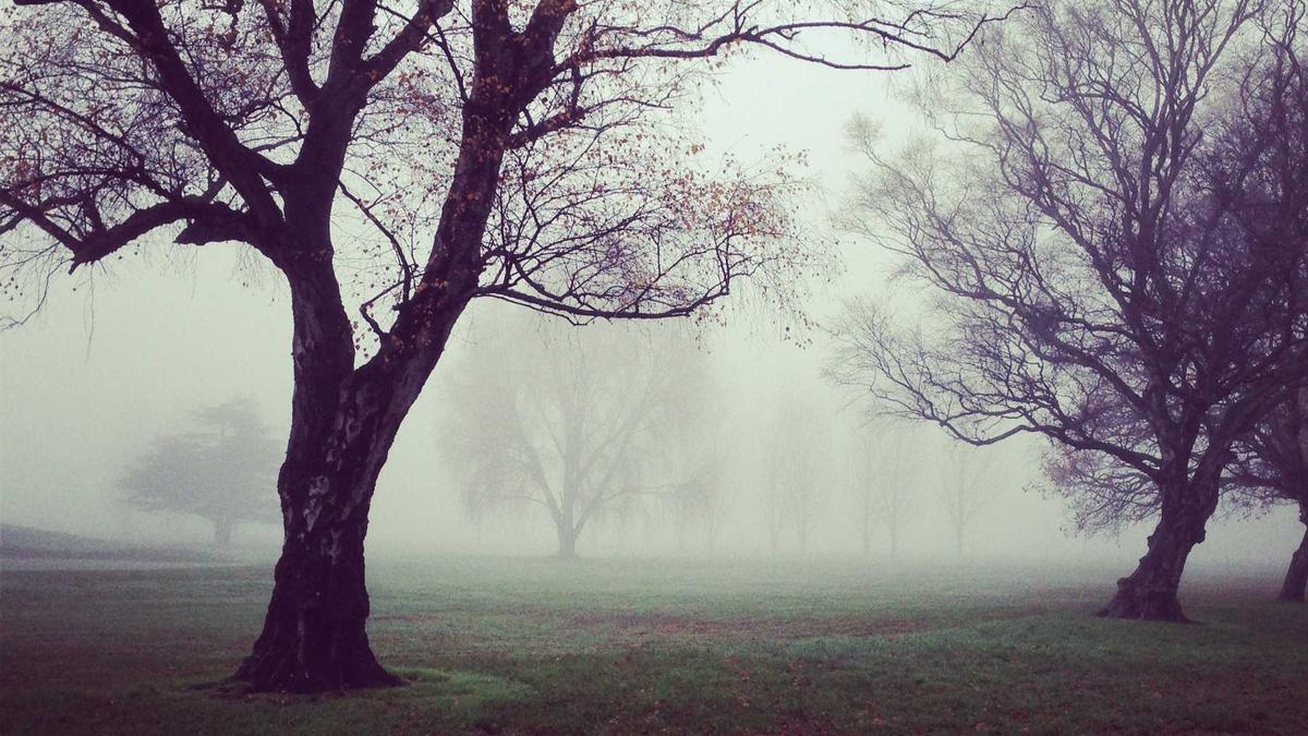 Detailansicht: KTM Kiska