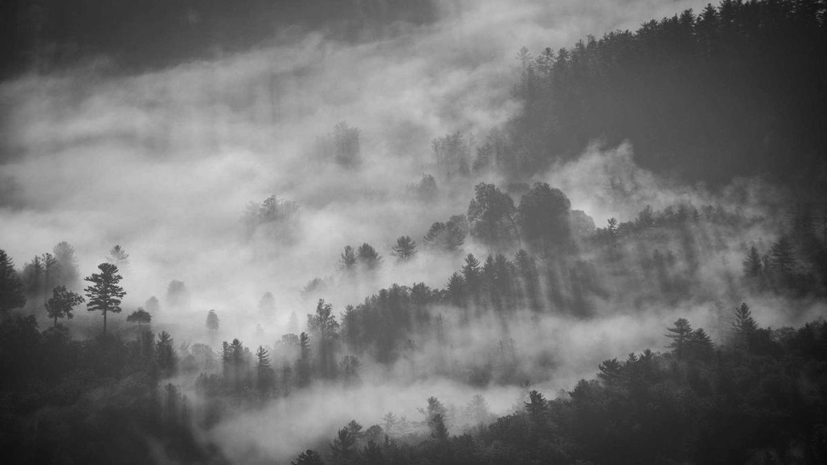 Detailansicht: Küchenbrand Kirchdorf