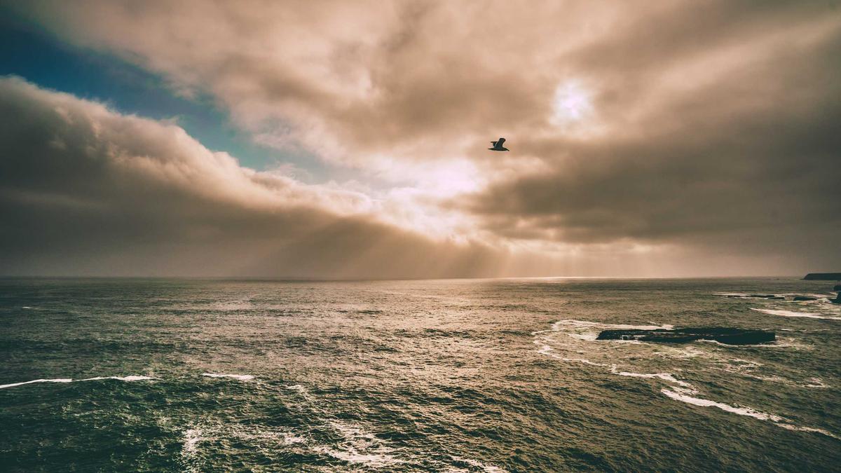 Küchenbrand Mannheim Detailansicht: Küchenbrand Mannheim