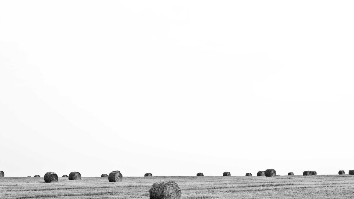 L583 Sperrung Symbolbild zum Thema L583 Sperrung