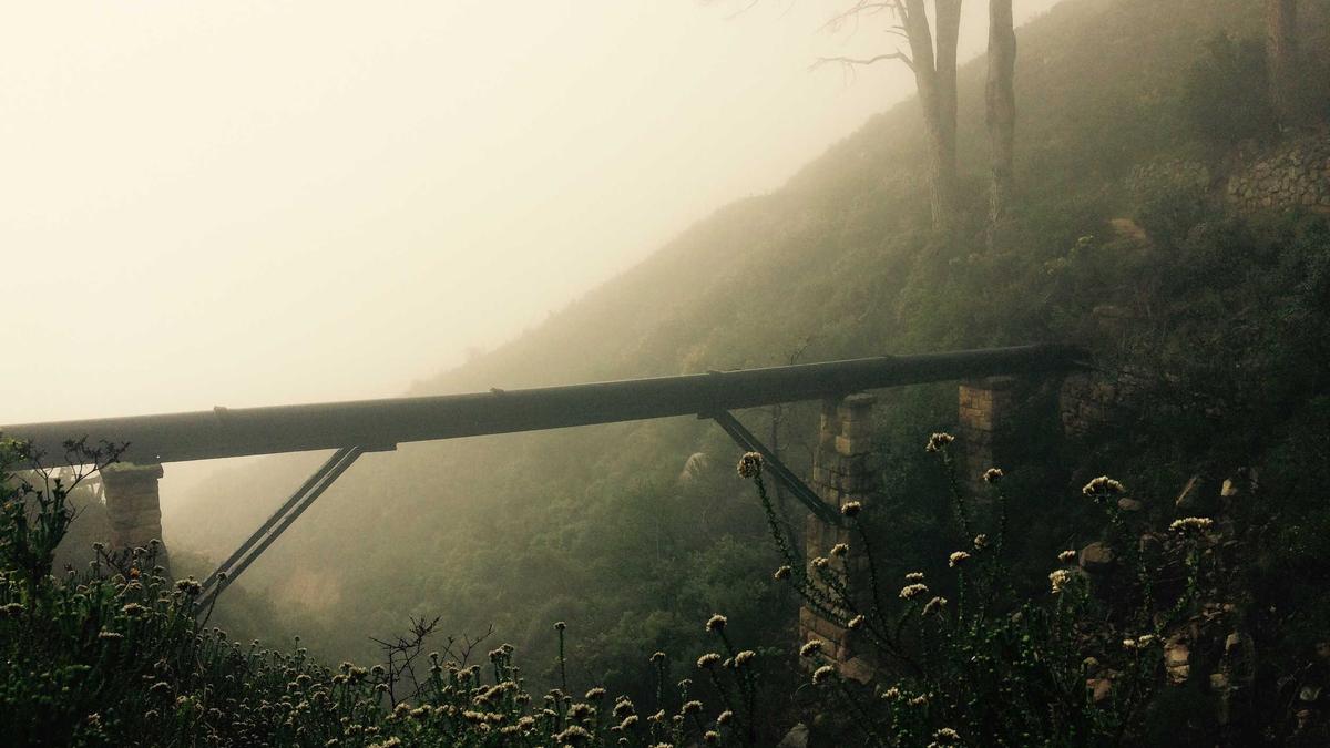 ladendiebstahl Altenburg