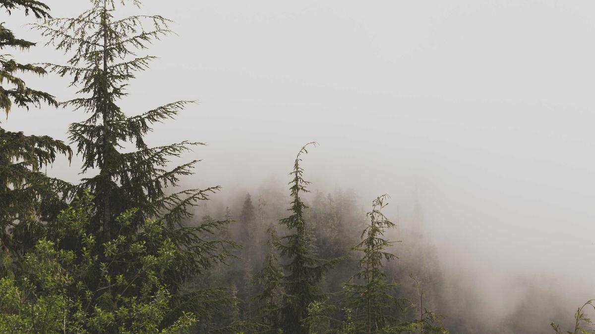 Illustration zu Lara Cosima Freund