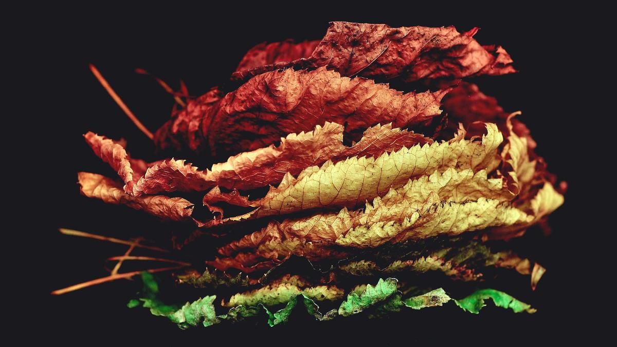 Lawine Südtirol Symbolbild zum Thema Lawine Südtirol