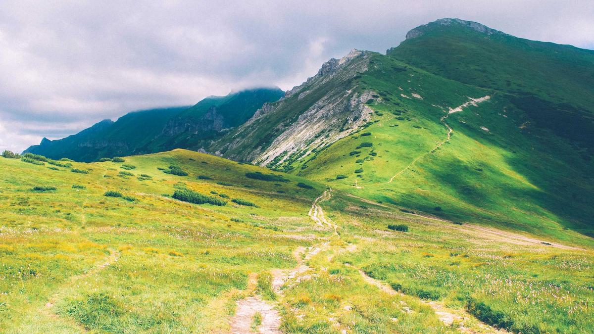 Lawinenwarndienst Tirol Detailansicht: Lawinenwarndienst Tirol