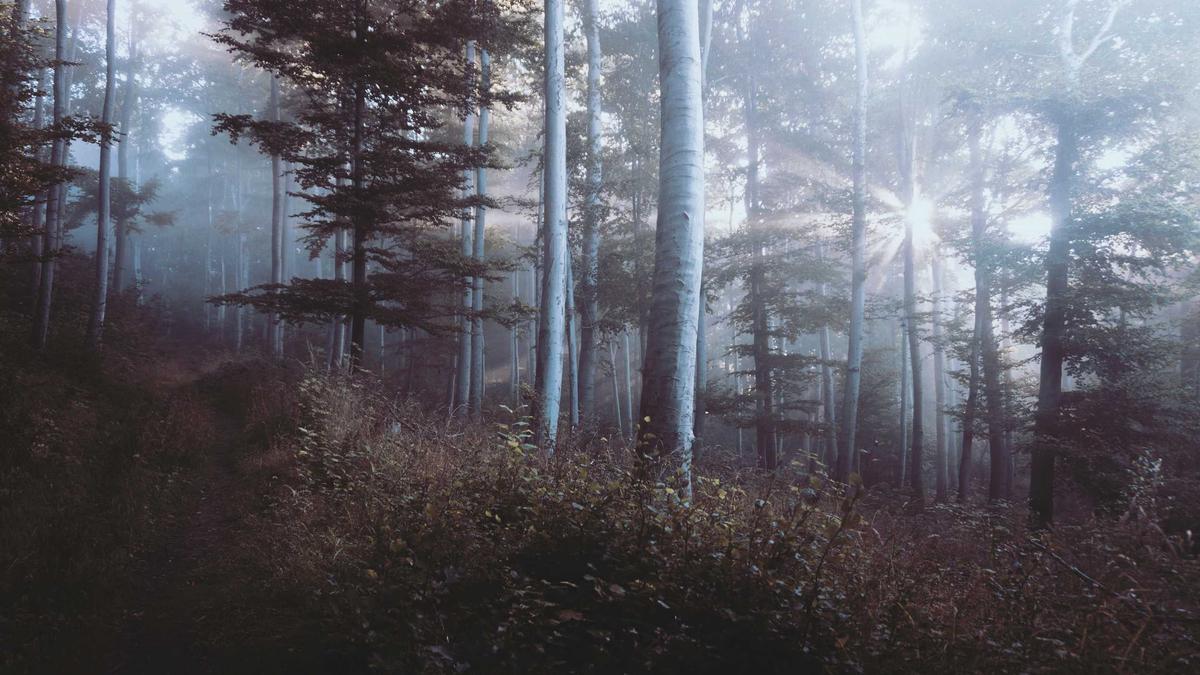 Symbolbild zum Thema Lehrer Missbrauch Erfurt