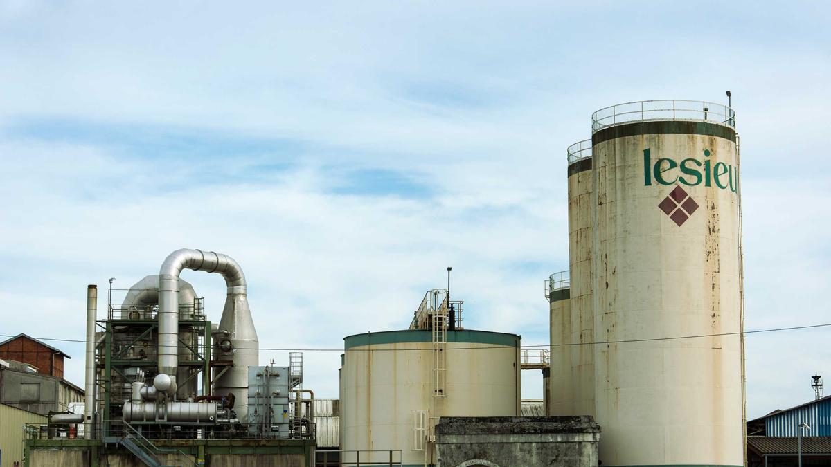 Leni Klum Seal Illustration zu Leni Klum Seal