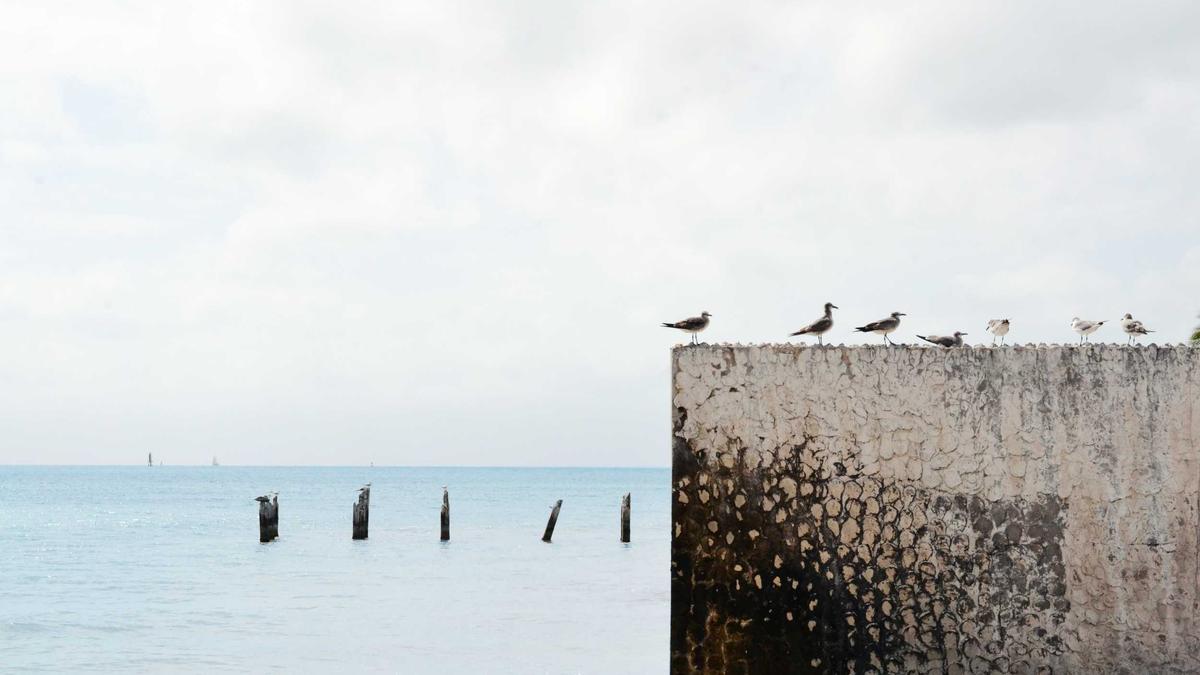 Illustration zu Liebesfilm Fernsehen