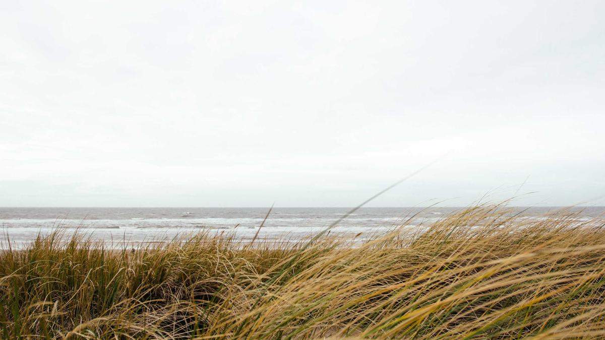 Symbolbild zum Thema LKW Unfall Bremerhaven