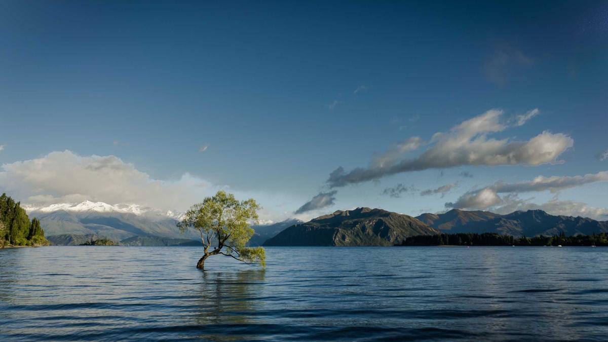 Lohndumping Tessin Detailansicht: Lohndumping Tessin