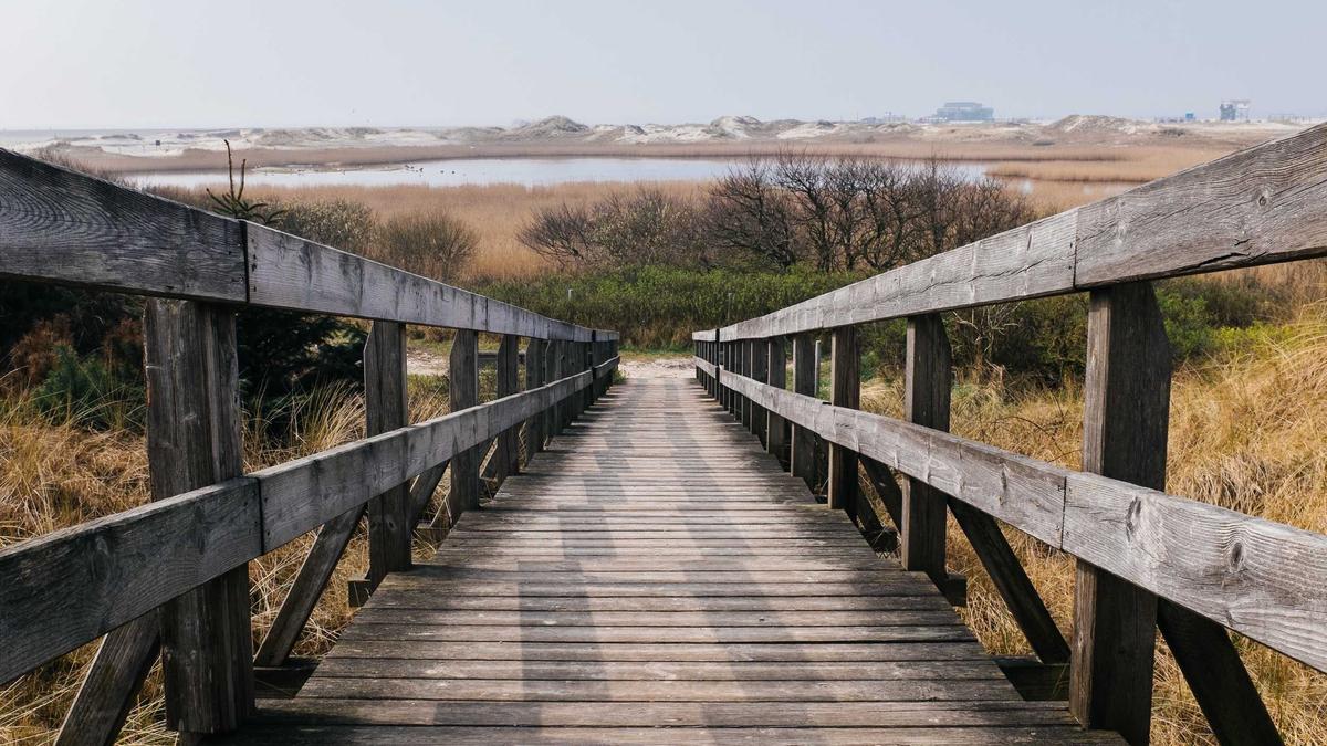 Illustration zu Lotto Bonus Ziehung