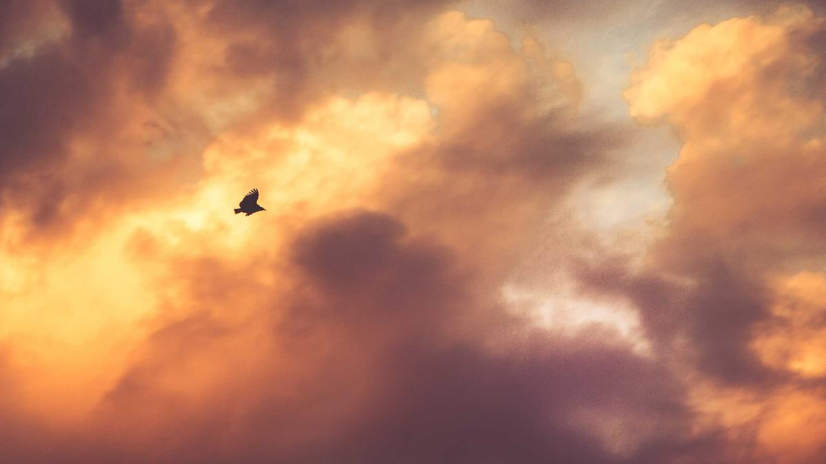 Detailansicht: Lufthansa Entschädigung Flug