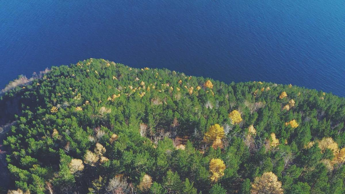 Detailansicht: Manolis Saliakas