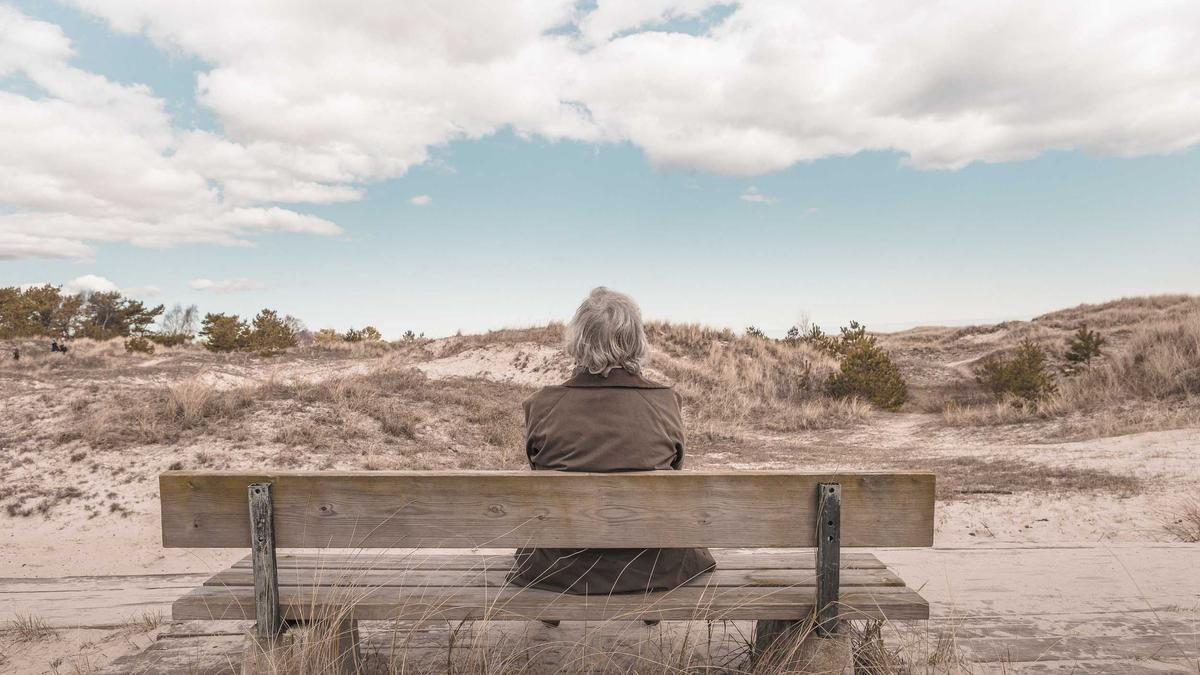 Detailansicht: Markise Reinigen