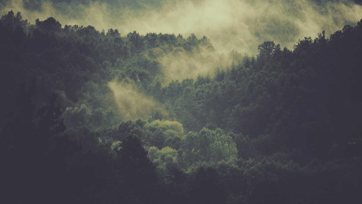 Mathilde Gremaud Illustration zu Mathilde Gremaud